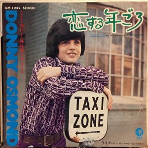 画像1: Donny Osmond / The Twelfth Of Never