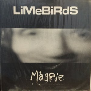 画像1: Limebirds / Magpie