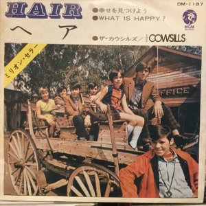 画像1: The Cowsills / Hair