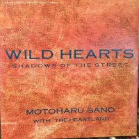 佐野元春 / Wild Hearts