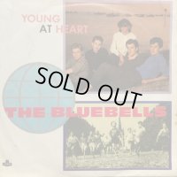 The Bluebells / Young At Heart