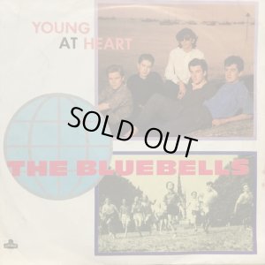 画像1: The Bluebells / Young At Heart