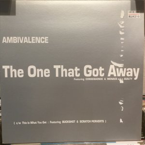 画像1: Ambivalence / The One That Got Away