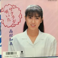 西村知美 / サクラが咲いた