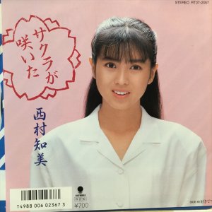 画像1: 西村知美 / サクラが咲いた