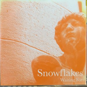 画像1: Snowflakes / Waiting For