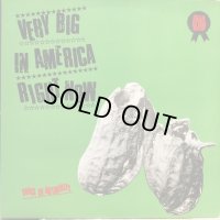 Voice Of Authority / Very Big In America Right Now