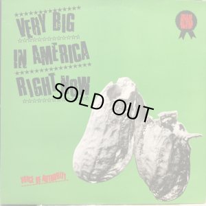 画像1: Voice Of Authority / Very Big In America Right Now