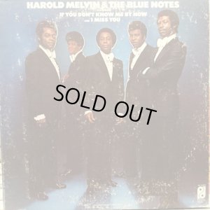 画像1: Harold Melvin & The Bluenotes / Harold Melvin & The Bluenotes
