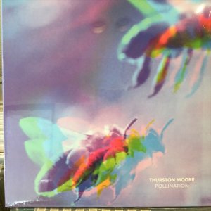 画像1: Thurston Moore / Pollination