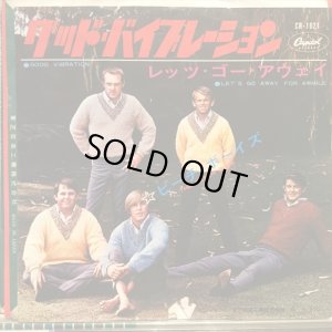 画像1: The Beach Boys / Good Viberation