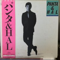 Panta & HAL / 1980X