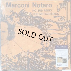 画像1: Marconi Notaro / No Sub Reino Dos Metazoários