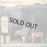 James Gang / Live In Concert