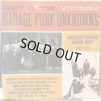 VA / Last Of The Garage Punk Unknowns Volume 2