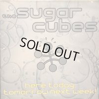 The Sugarcubes / Here Today, Tomorrow Next Week!