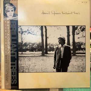 画像1: David Sylvian / Brilliant Trees