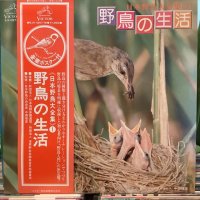 VA / 日本野鳥大全集(1) 野鳥の生活