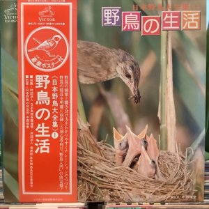 画像1: VA / 日本野鳥大全集(1) 野鳥の生活