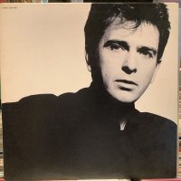 Peter Gabriel / So