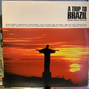 画像1: VA / A Trip To Brazil - Bossa Nova & Beyond