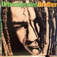 Urban Species / Brother