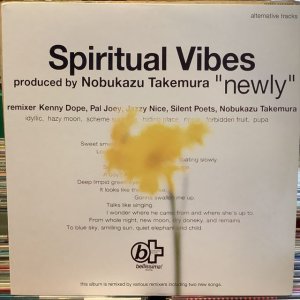 画像1: Spiritual Vibes / Newly - Alternative Tracks