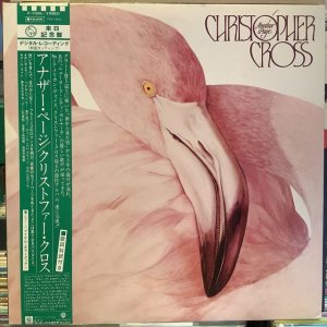 画像1: Christopher Cross / Another Page