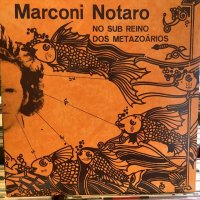 Marconi Notaro / No Sub Reino Dos Metazoários