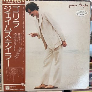 画像1: James Taylor / Gorilla