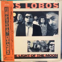 Los Lobos / By The Light Of The Moon