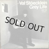 画像: Val Stöecklein (ex - The Bluethings) / Grey Life