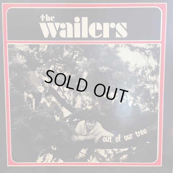 画像1: The Wailers / Out Of Our Tree (1)