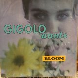 画像: Gigolo Aunts / Bloom