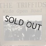 画像: The Triffids / Wide Open Road