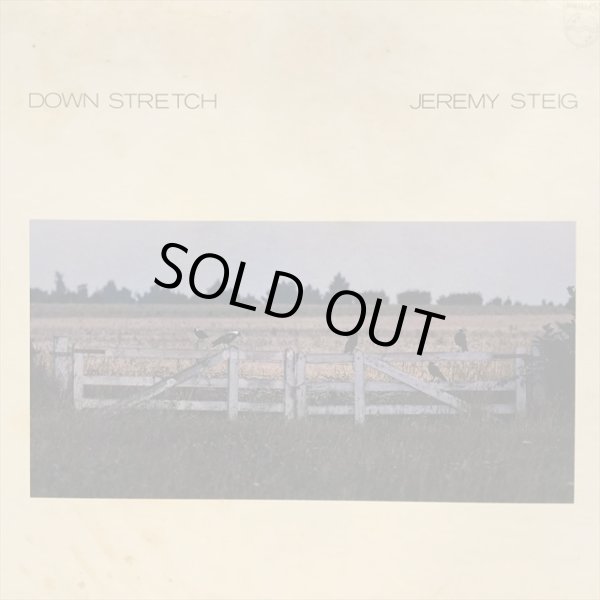 画像1: Jeremy Steig / Down Stretch (1)