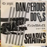 画像: Sharks / Dangerous Dogs