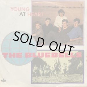 画像: The Bluebells / Young At Heart