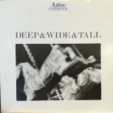 画像: Aztec Camera / Deep & Wide & Tall