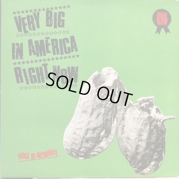 画像1: Voice Of Authority / Very Big In America Right Now (1)