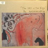 画像: Graham Coxon / The Sky Is Too High