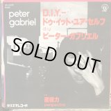 画像: Peter Gabriel / D.I.Y. 