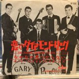 画像: Gary Lewis And The Playboys / This Diamond Ring