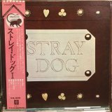 画像: Stray Dog / Stray Dog