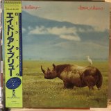 画像: Adrian Belew / Lone Rhino