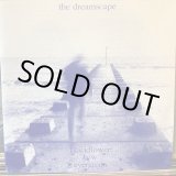 画像: The Dreamscape / Blackflower