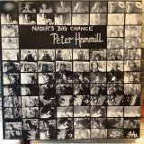 画像: Peter Hammill / Nadir's Big Chance