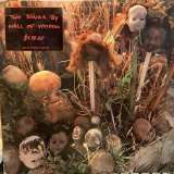 画像: Wall Of Voodoo / Two Songs By Wall Of Voodoo