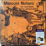 画像: Marconi Notaro / No Sub Reino Dos Metazoários