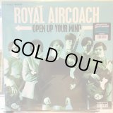 画像: Royal Aircoach / Open Up Your Mind